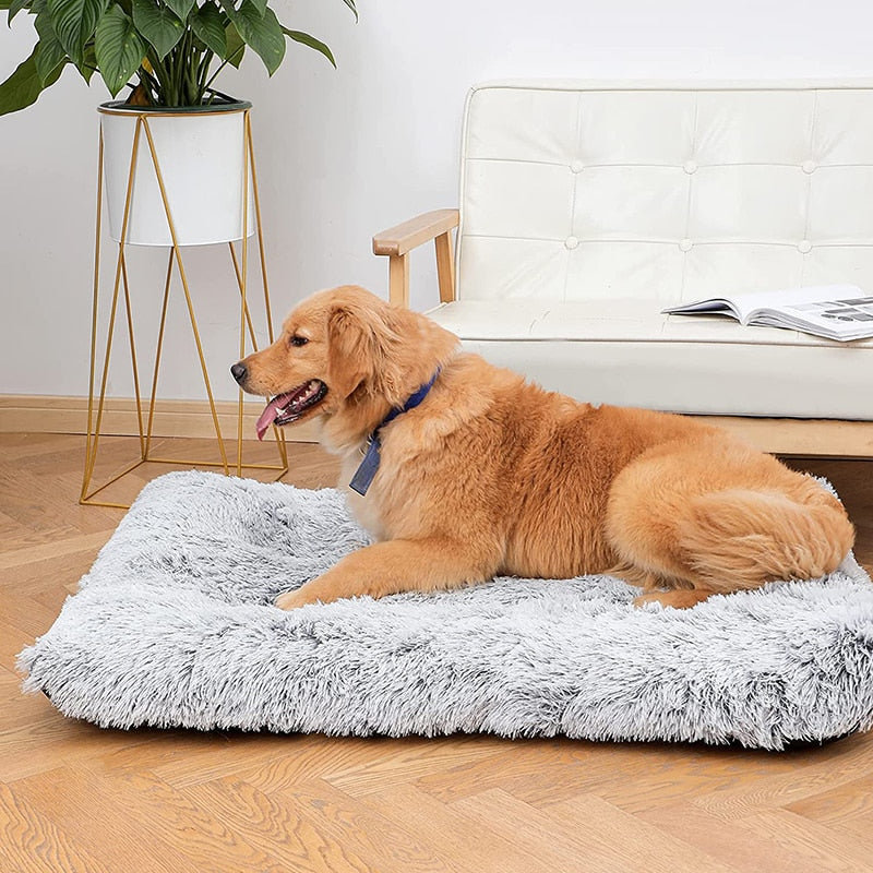 Plush Washable Dog Bed